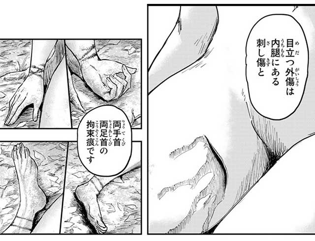 『DYS CASCADE』紹介画像2