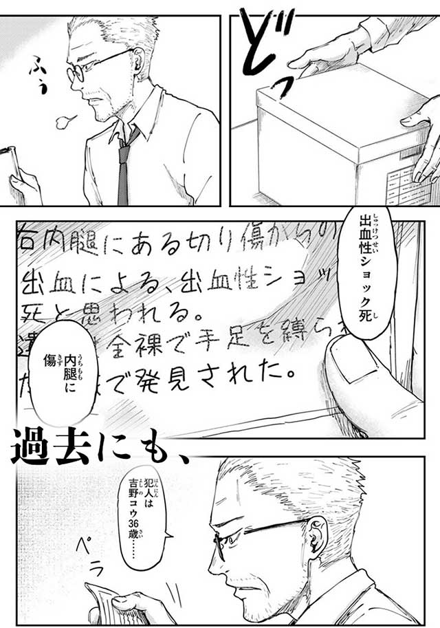 『DYS CASCADE』紹介画像8